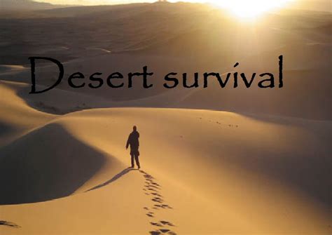 Desert Survival Minecraft Project