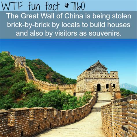 the great wall of china wtf fun fact