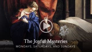 Joyful Mysteries of the Rosary with Bishop Robert Barron