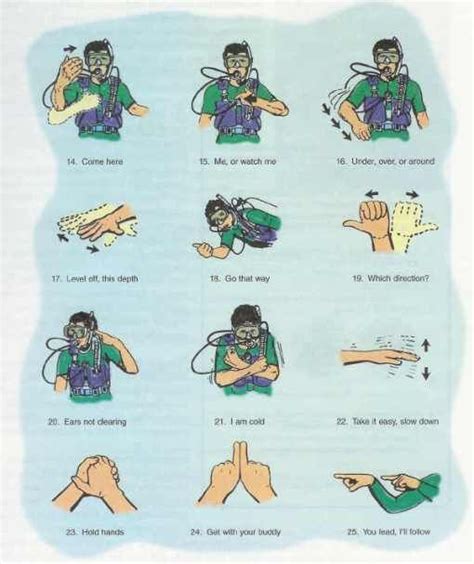 Basic Scuba Diving Underwater Hand Signals | Diving, Scuba, Scuba diving