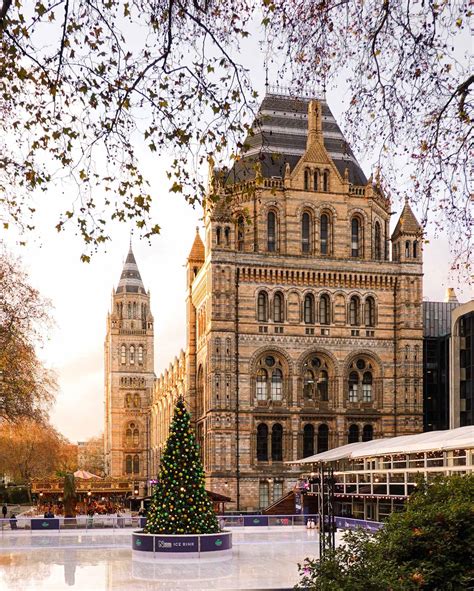 Natural History Museum Ice Rink & Christmas Tree | Explorest