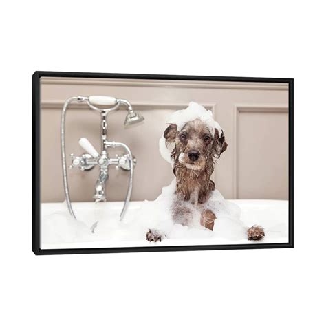 iCanvas "Funny Dog Taking Bubble Bath" by Susan Schmitz Framed Canvas ...