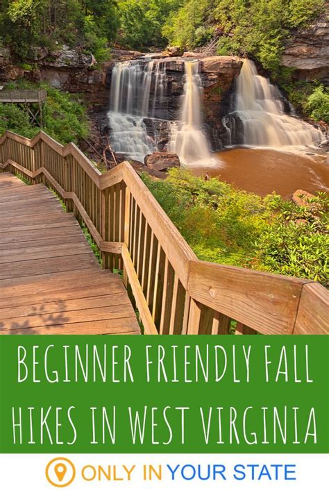 These beginner friendly waterfall hikes in West Virginia are best in the autumn! | Easy Hikes ...