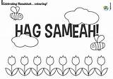 Hag Sameach Coloring Page  Jewish Traditions For Kids AppSameach sketch template