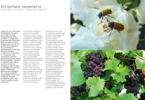 Sustainable Viticulture.............. | Friendly, Eco friendly, Green