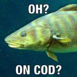 oh? on cod? Meme Generator - Imgflip