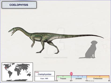 Coelophysis by cisiopurple on DeviantArt