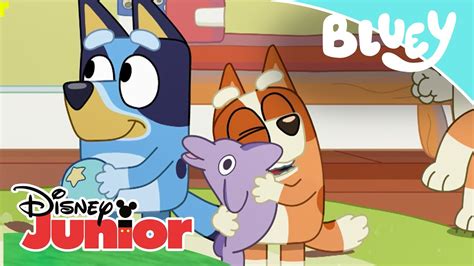 Bluey: Compilado Momentos Entrañables | Disney Junior Oficial - YouTube