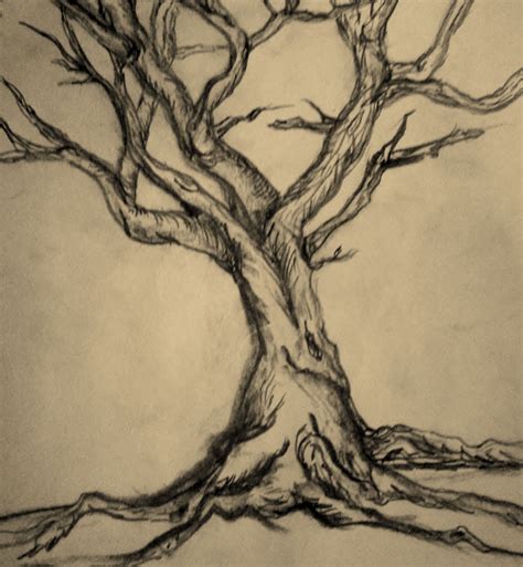 Bildergebnis für tree art drawing | Tree drawings pencil, Tree drawing, Tree sketches