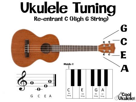 What are the Notes on a Ukulele? Tuning/Fretboard Notes on Staff, etc. | CoolUkulele.com