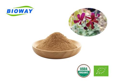 China Pelargonium Sidoides Extract Suppliers, Manufacturers, Factory ...