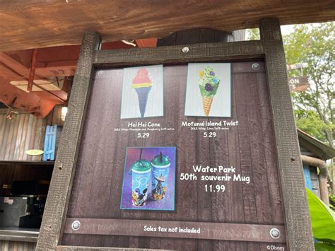 REVIEW: New Motunui Island Twist Debuts at Disney's Typhoon Lagoon Water Park - WDW News Today