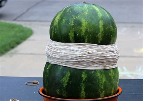 The Big Watermelon Experiment: Physics, forces and flying fruit ...