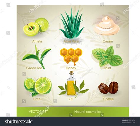 Vector Set Of Natural Cosmetics Ingredients. - 76120726 : Shutterstock