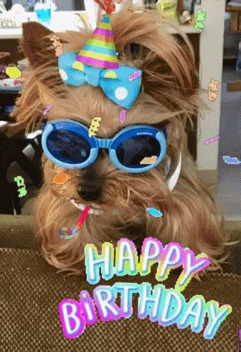 Happy Birthday Gif Dog Themes