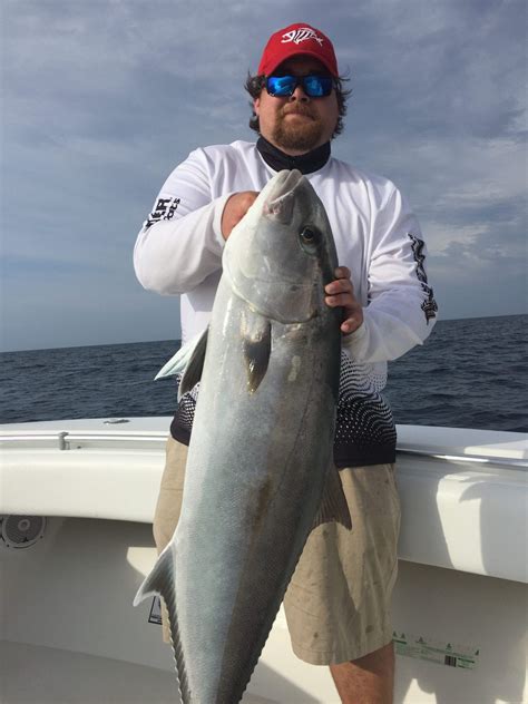 Amberjack Fishing Charters Clearwater FL | FishEye Sportfishing