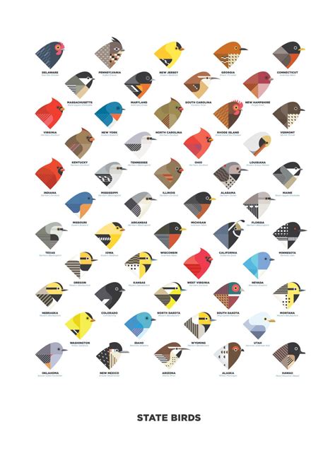 State Birds digital illustration / art print