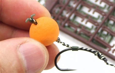 7 Tips for Choosing the Right Bait for Carp Fishing - ILFC