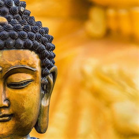 Download A close-up of a stunning golden Buddha statue Wallpaper | Wallpapers.com