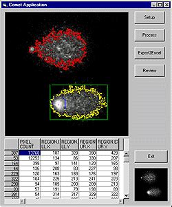 comet assay image analysis system