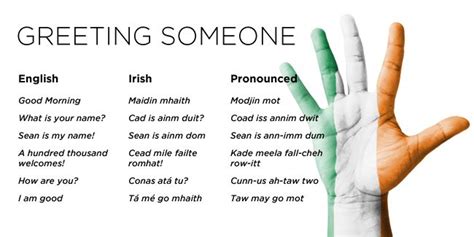 Get ready for your Irish Trip! Learn the Irish Language! - The Irish Store | Irish gaelic ...