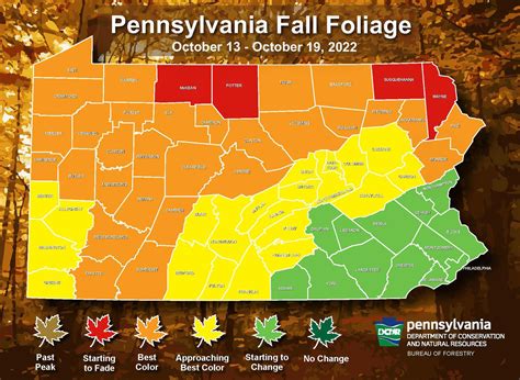 Fall Foliage Ohio 2024 Map - Julia Margalo