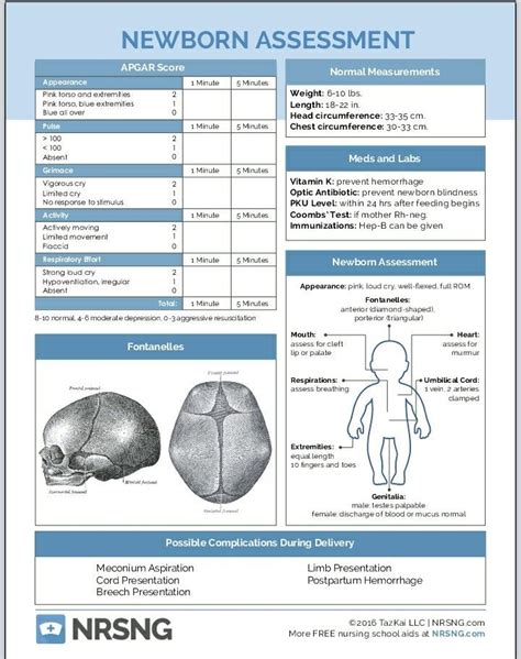 Newborn assessment Postpartum Nursing, Newborn Nursing, Child Nursing ...