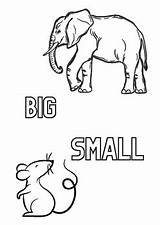 Preschool Opposite Coloring Pages By Ms T PreK  TPT sketch template
