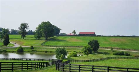 From Lexington: Kentucky Horse Farms Tour | GetYourGuide