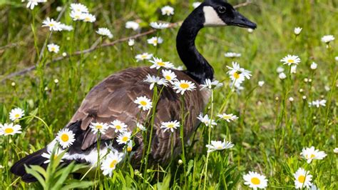 Boise Idaho Weather News & Reports | Idaho Statesman