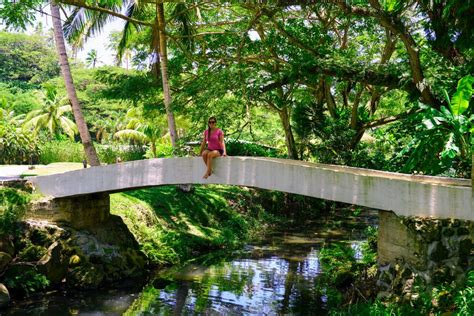 Fiji Resort Highlight: Koro Sun Resort and Rainforest Spa - Chantae Was Here