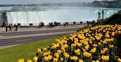 From Toronto: Niagara Falls Day Trip | GetYourGuide