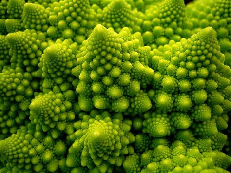 Earth’s Most Stunning Natural Fractal Patterns | WIRED