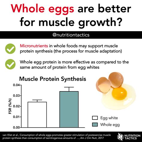 Whole eggs are better for muscle growth?