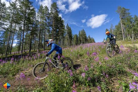 Summer in Lapland: Experience Mountain Biking & Hiking in Levitunturi ...