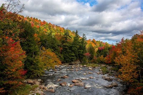 Gorgeous fall foliage: 3 Upstate NY towns named among best 50 leaf-peeping spots ...