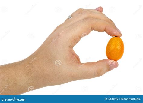 Kumquat Fruit In Hand Royalty Free Stock Photo - Image: 13630995