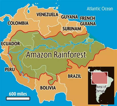 Map Amazon Rainforest Brazil - Share Map