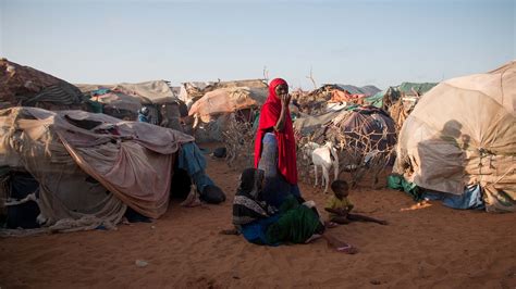 Refugees stranded in Somalia after Kenya eviction | News | Al Jazeera