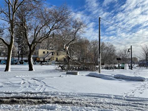 IN PHOTOS: Winter storm leaves blanket of snow over Toronto in March ...