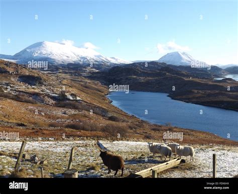 Snowy mountain at the end of Loch Inchard, near Kinlochbervie in Scotland January 2016 Stock ...