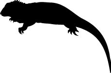 Lizard Silhouettes | Silhouettes of Lizard Free - ClipArt Best ...