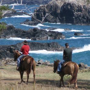 Maui Horseback Riding Tours | Horseback Riding in Maui | Horseback riding, Maui activities ...