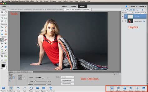 Adobe Photoshop Elements Vs Photoshop Cc Which Is Best 2023 | expertphotography