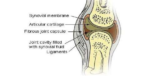 Synovitis Knee treatment at affordble cost by Dr Lalit Modi at JaipurJoints.