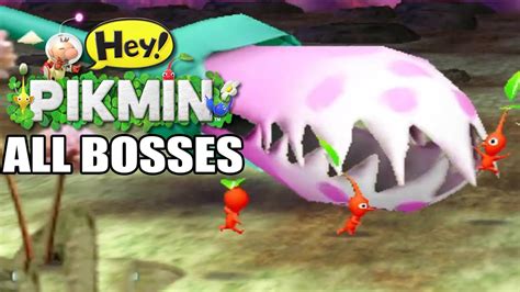 Hey Pikmin All Bosses - YouTube