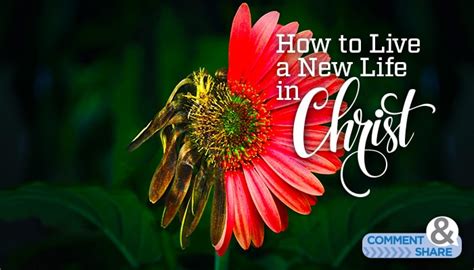 How to Live a New Life in Christ - KCM Blog