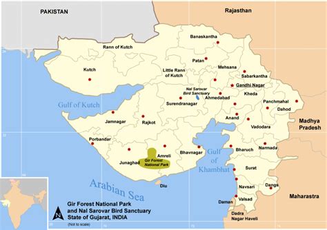 भारत के पक्षी अभयारण्यों की सूची (List of Bird Sanctuaries of India) – UPSC