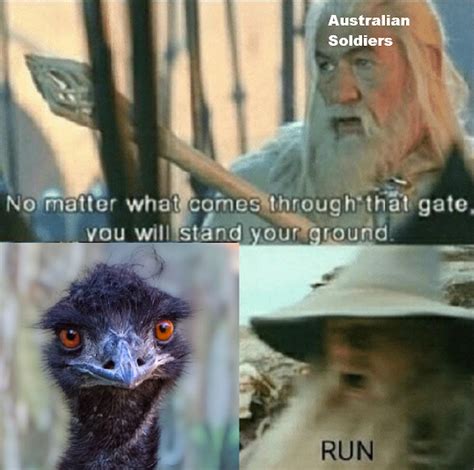 Great emu war flash backs ensue : r/memes