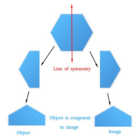 What is a line of symmetry ? Definition and Examples